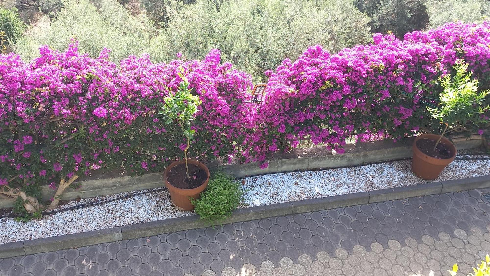 Victoria, Cpl Poggio Mastrissa, * Taormina